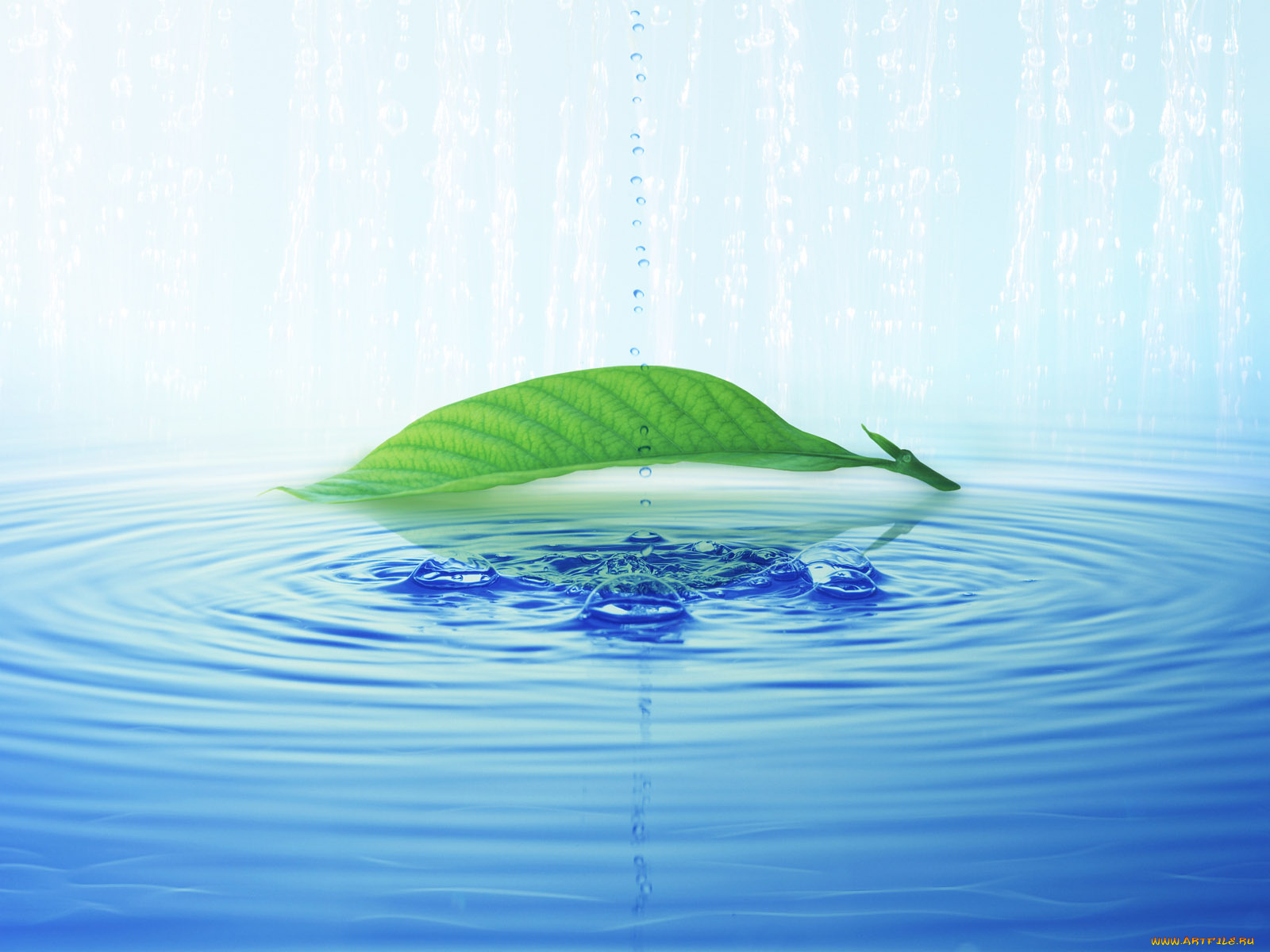 компьютеры, desktop, decor