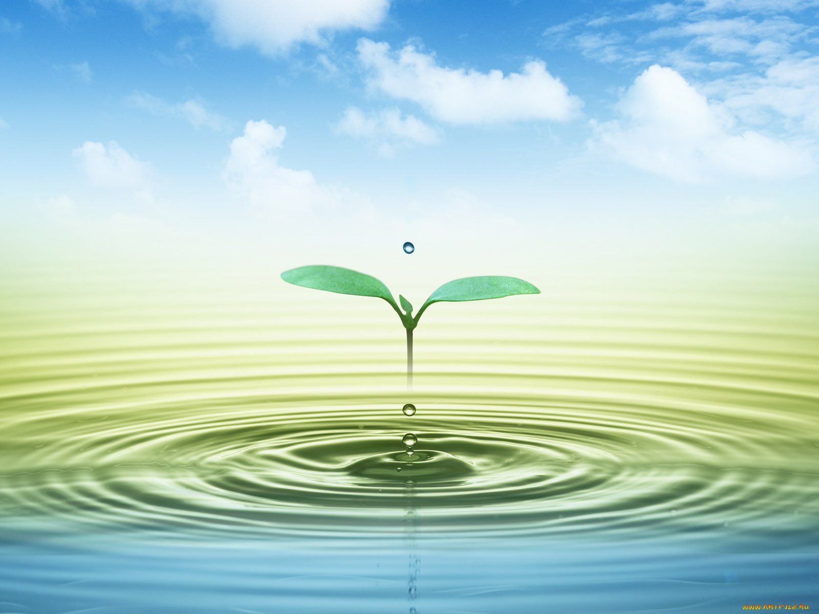 компьютеры, desktop, decor