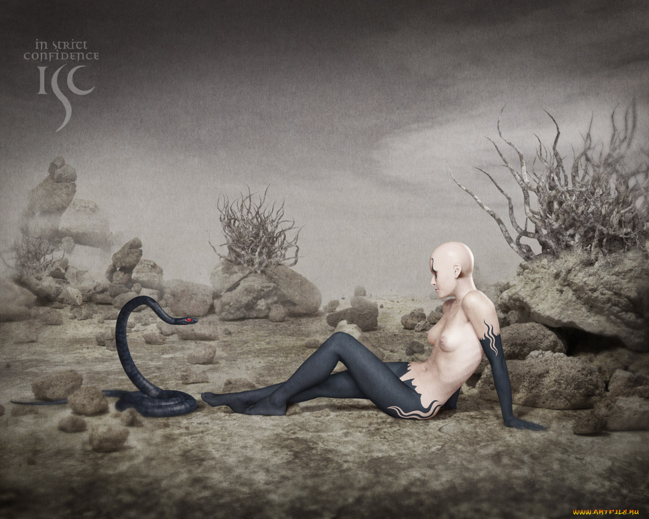 бренды, isc, змея, человек, камни, пустыня