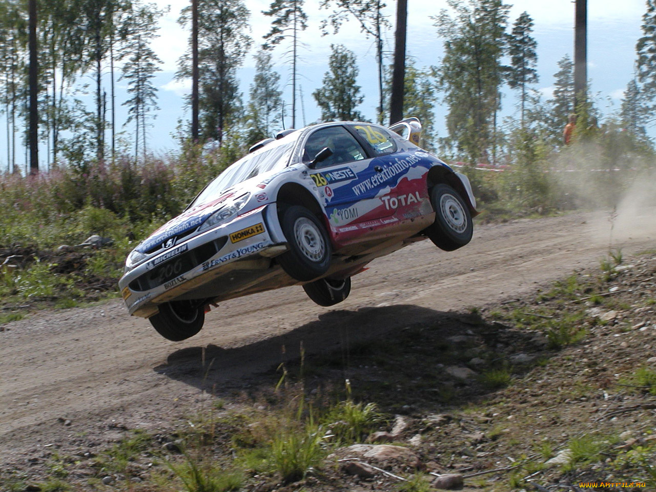 спорт, авторалли