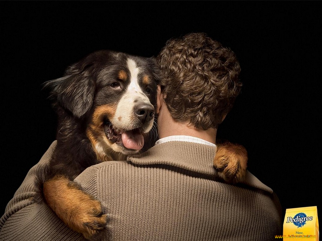 бренды, pedigree