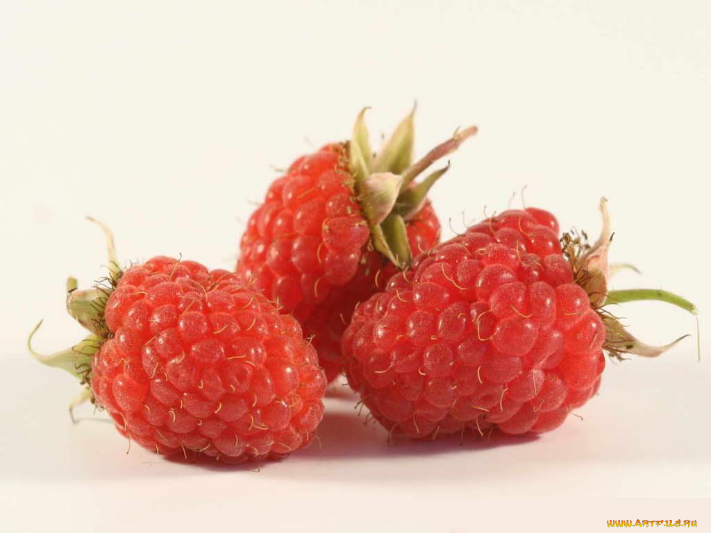 еда, малина