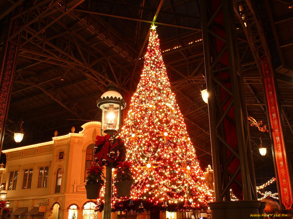 праздничные, Ёлки