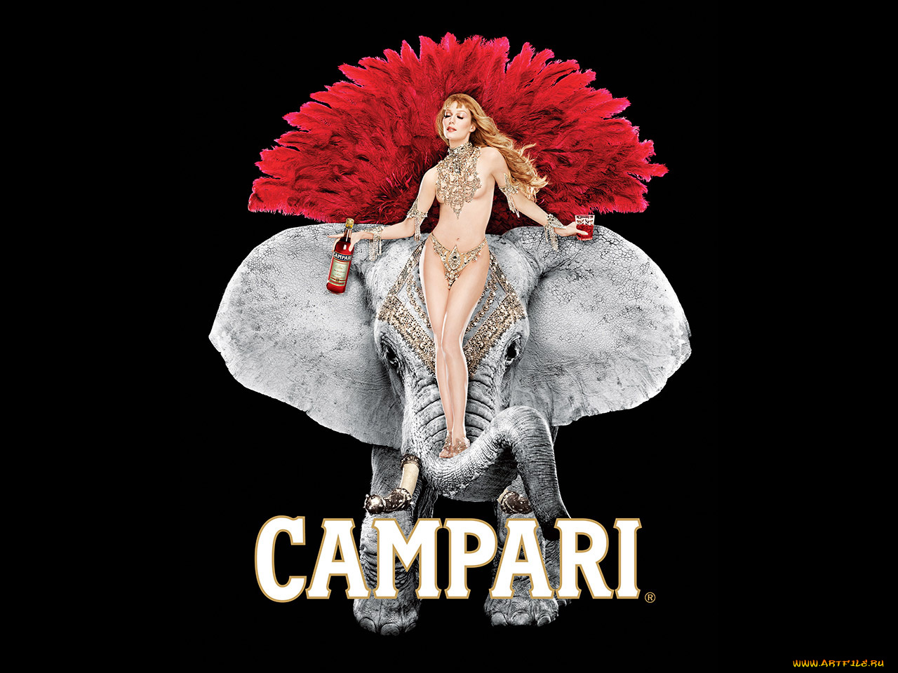 бренды, campari