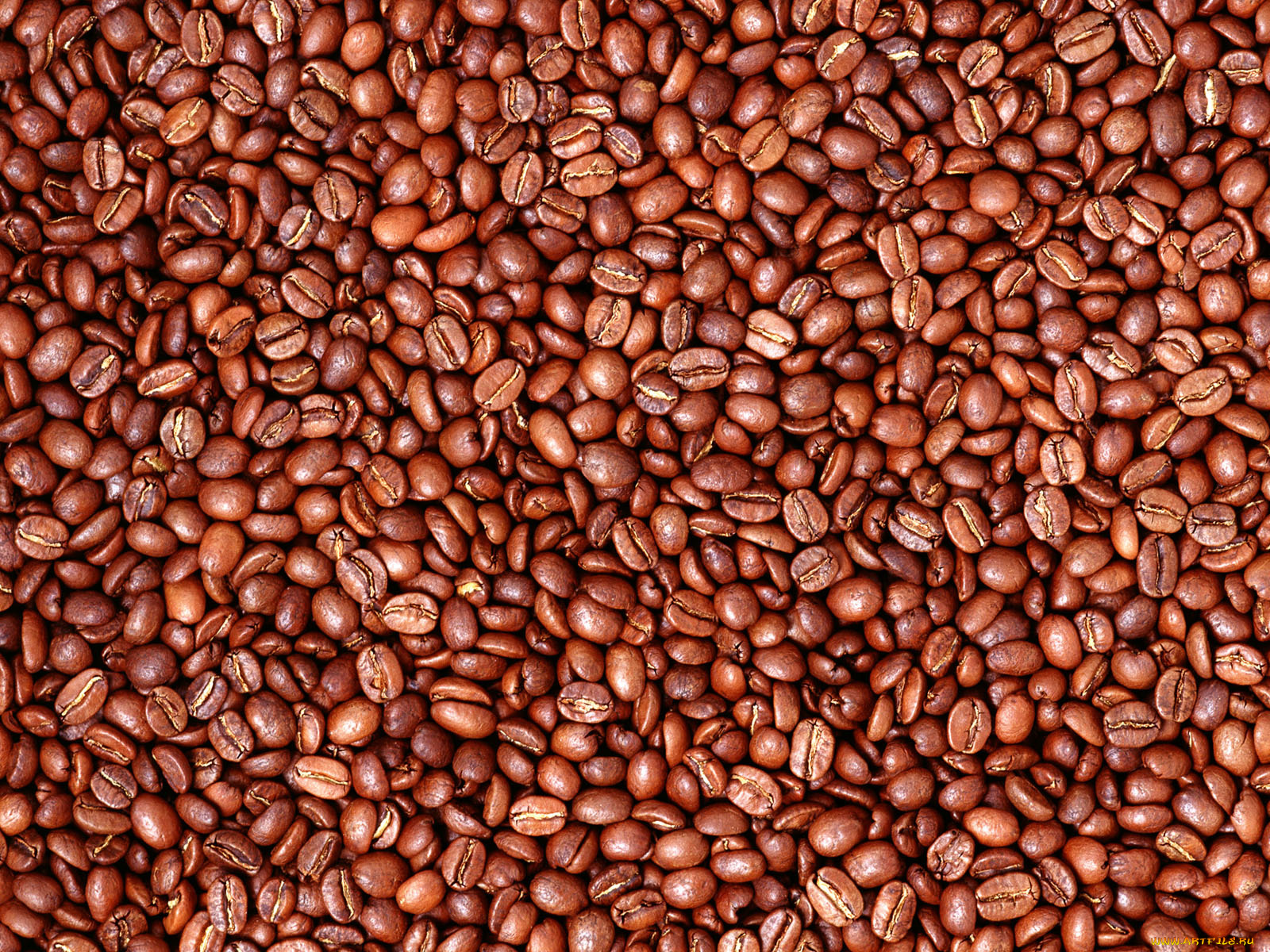 еда, крупы, зерно, специи, семечки