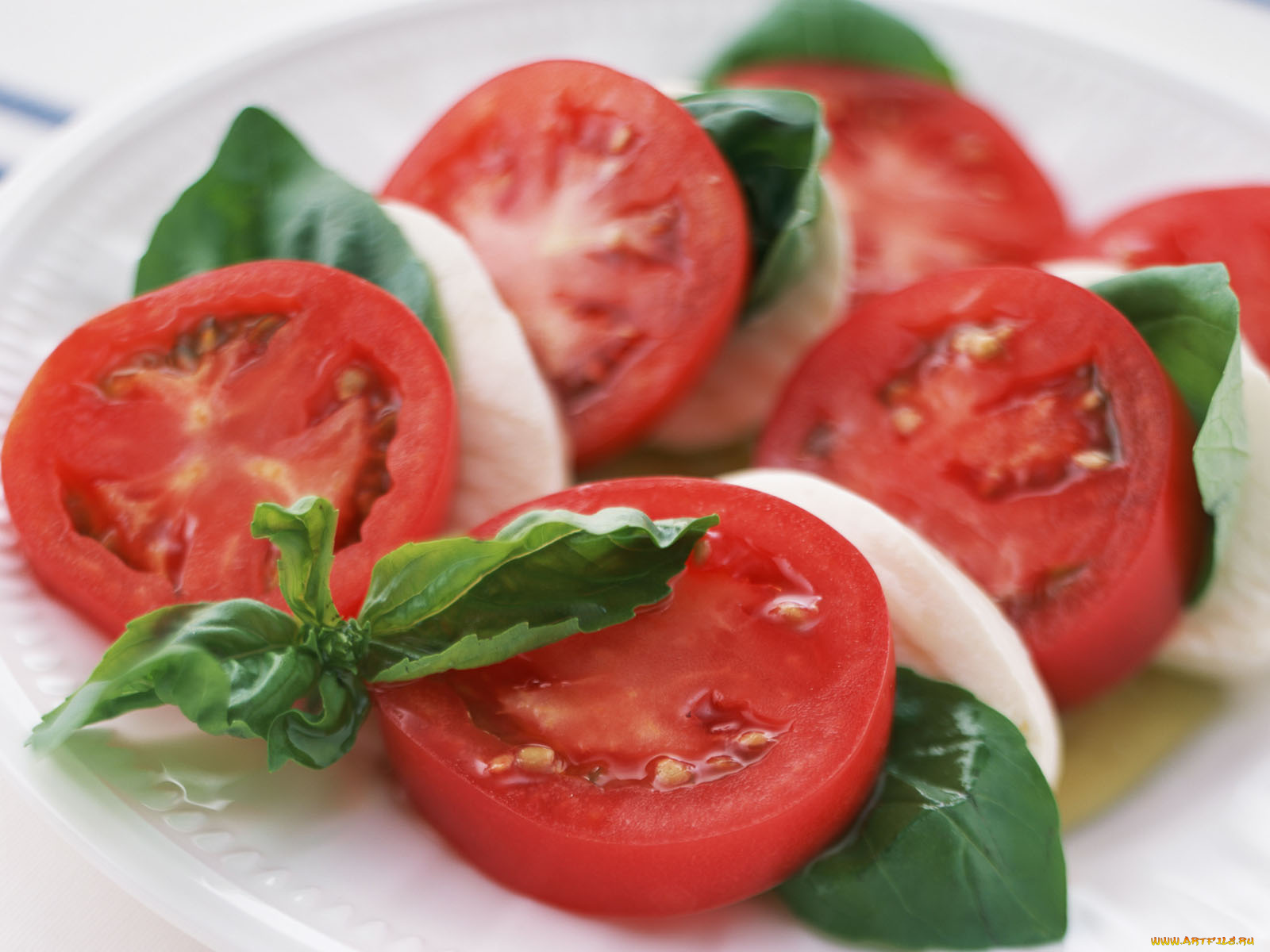 еда, помидоры