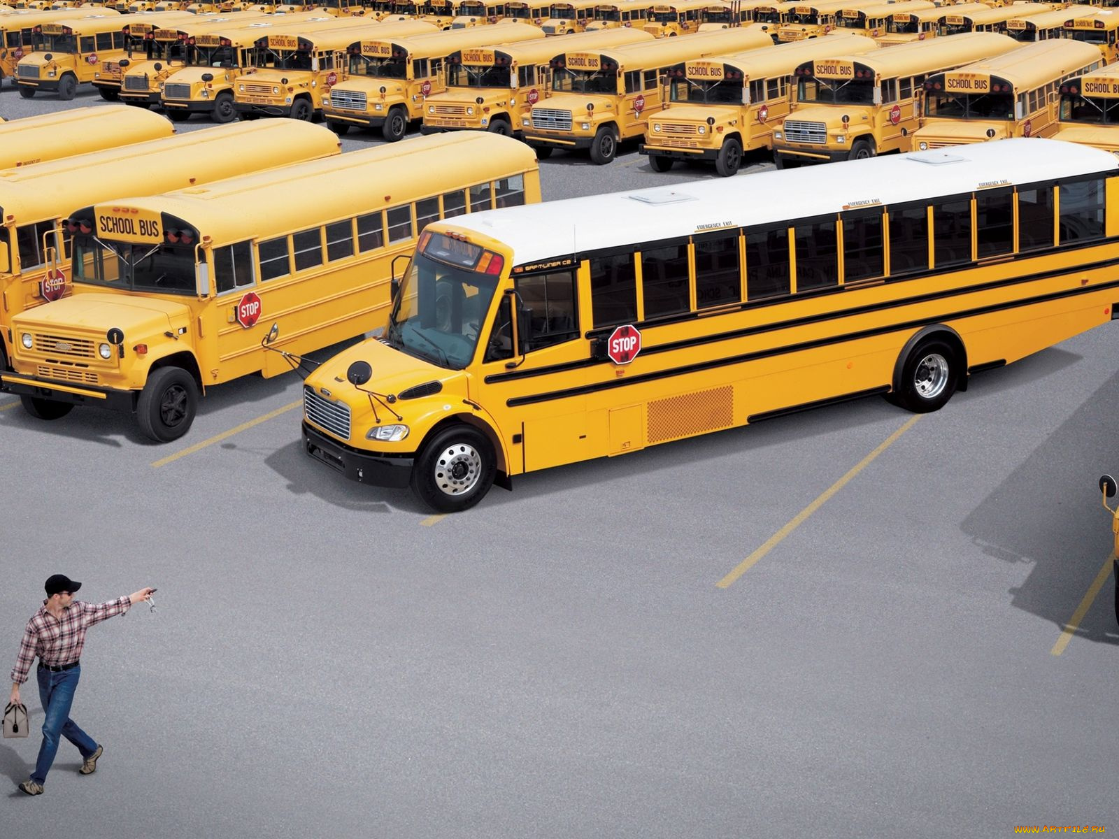 автомобили, автобусы