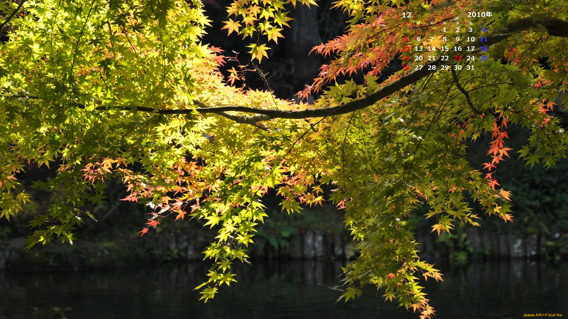 календари, природа