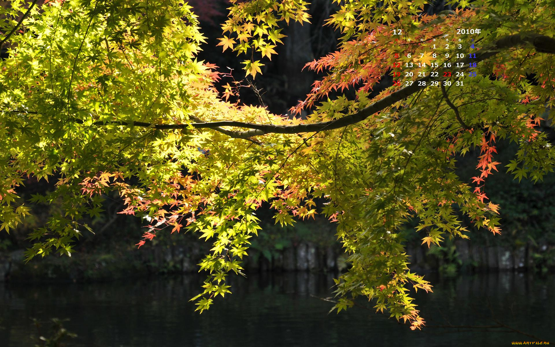 календари, природа