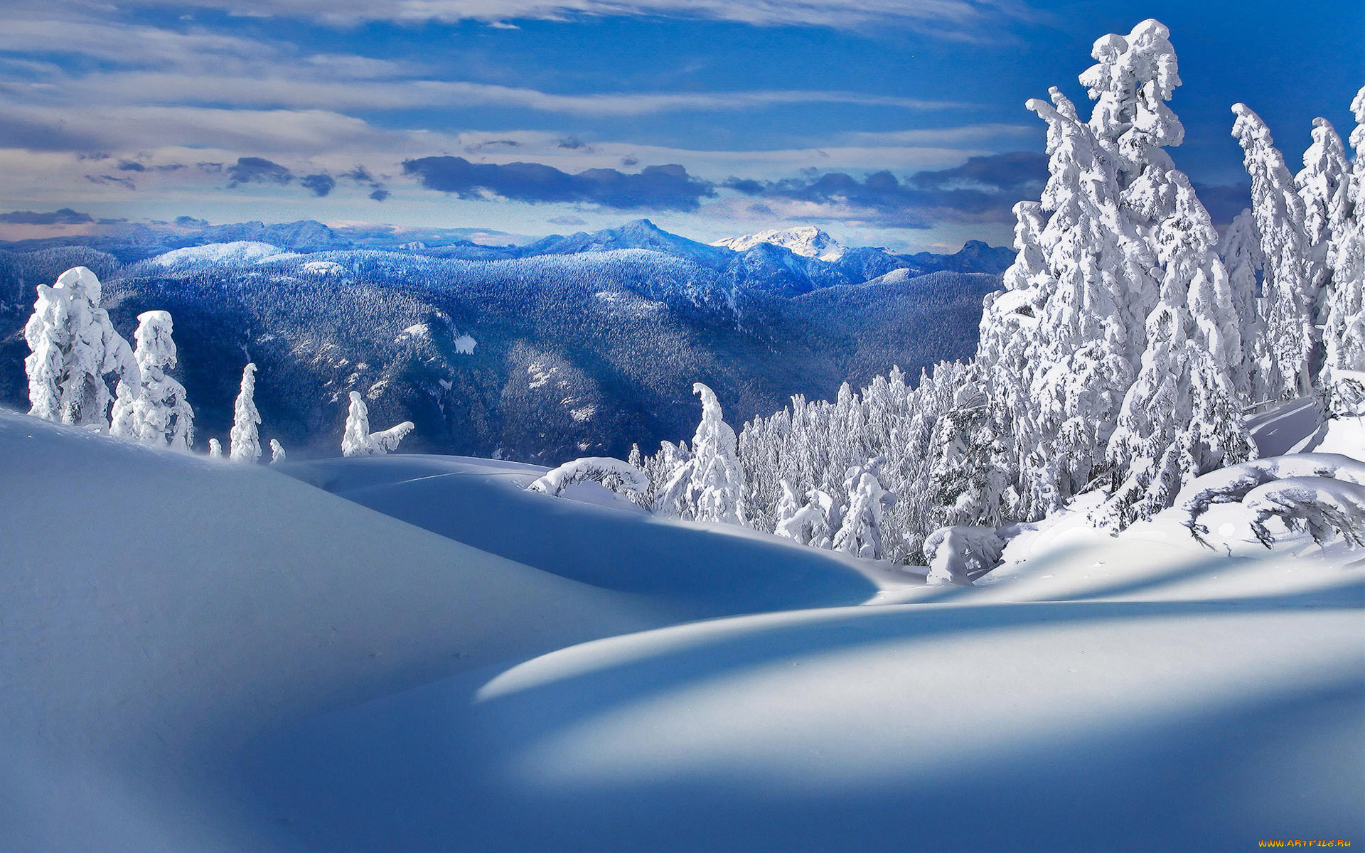 природа, зима