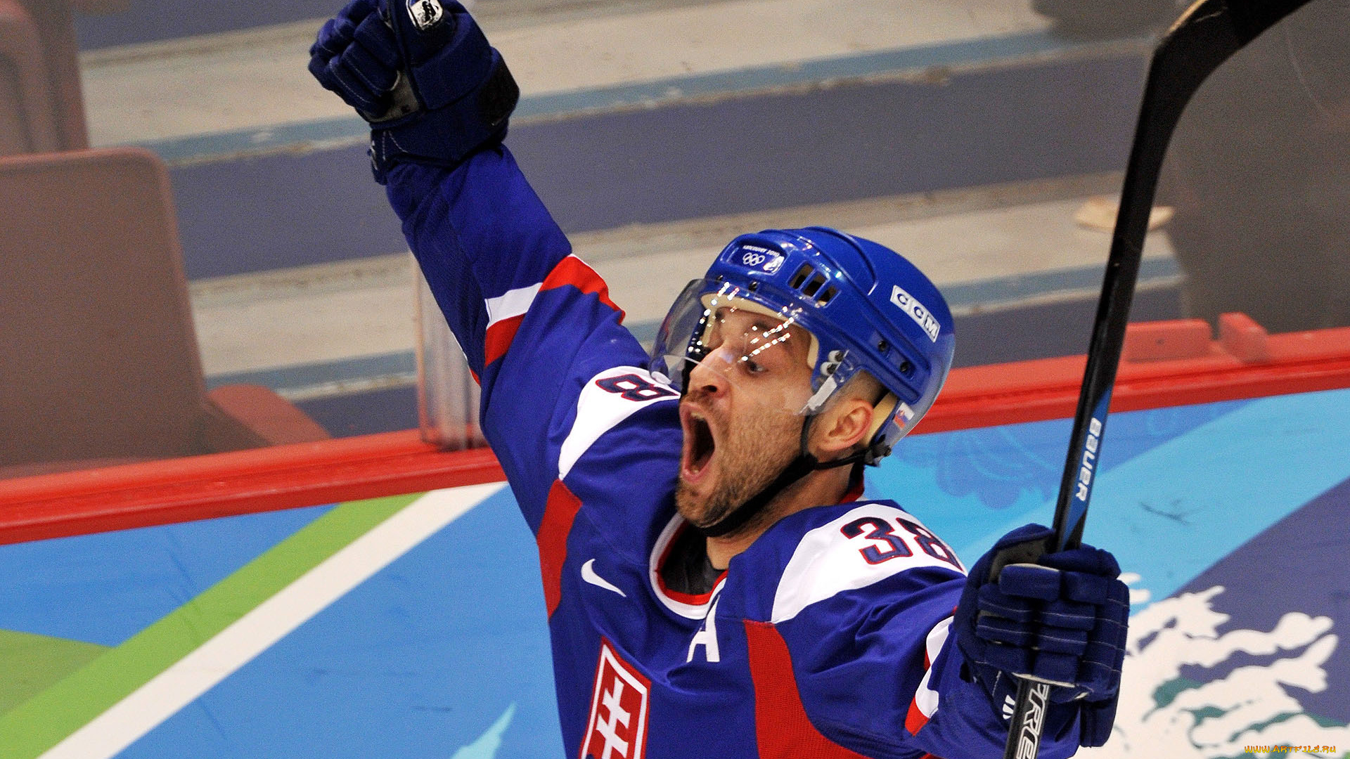 спорт, хоккей, радость, крик