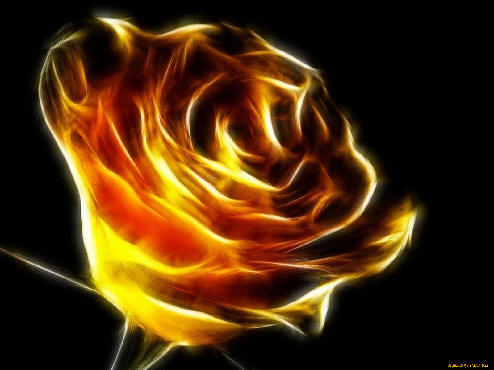 3д, графика, flowers, цветы, роза