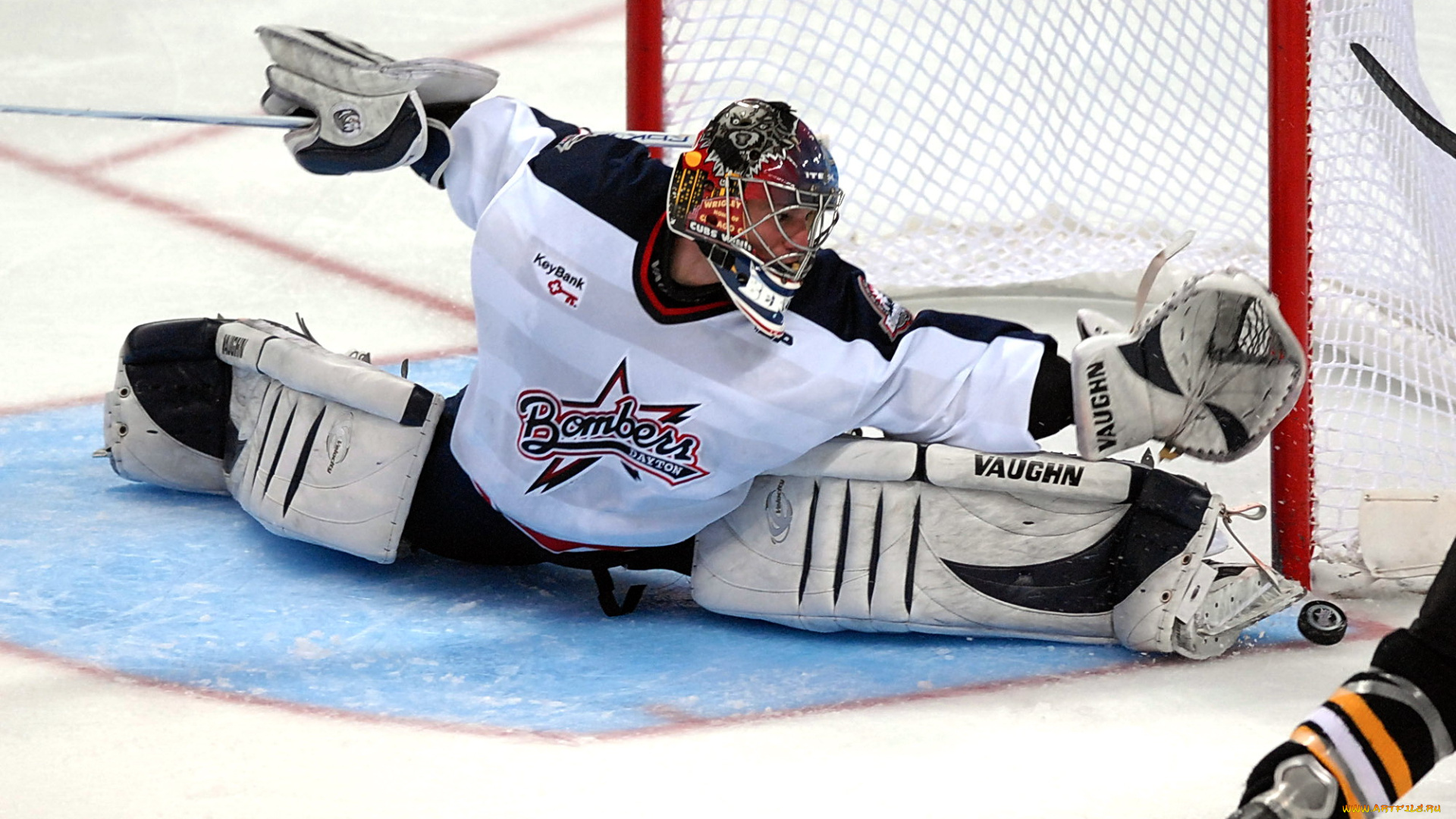 спорт, nhl, хоккей, вратарь, чемпионат, нхл