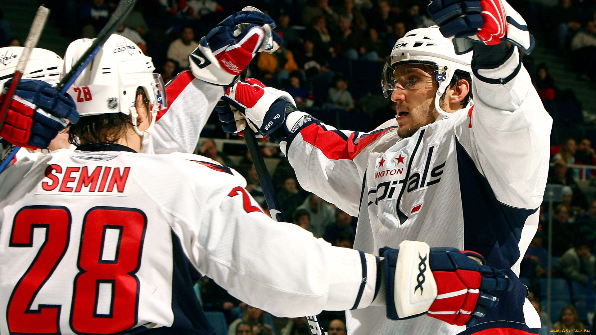 спорт, nhl, нхл, чемпионат, хоккей