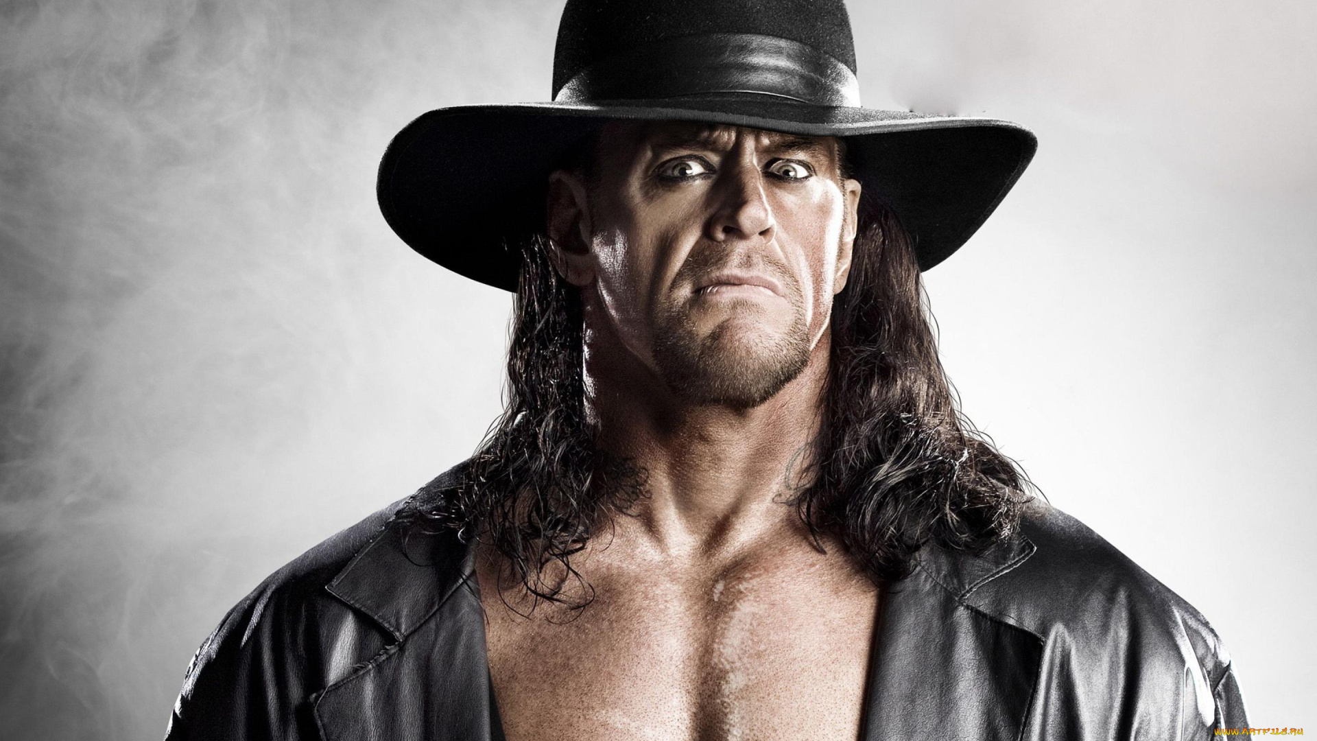 спорт, wwe, undertaker, гробовщик, рестлинг