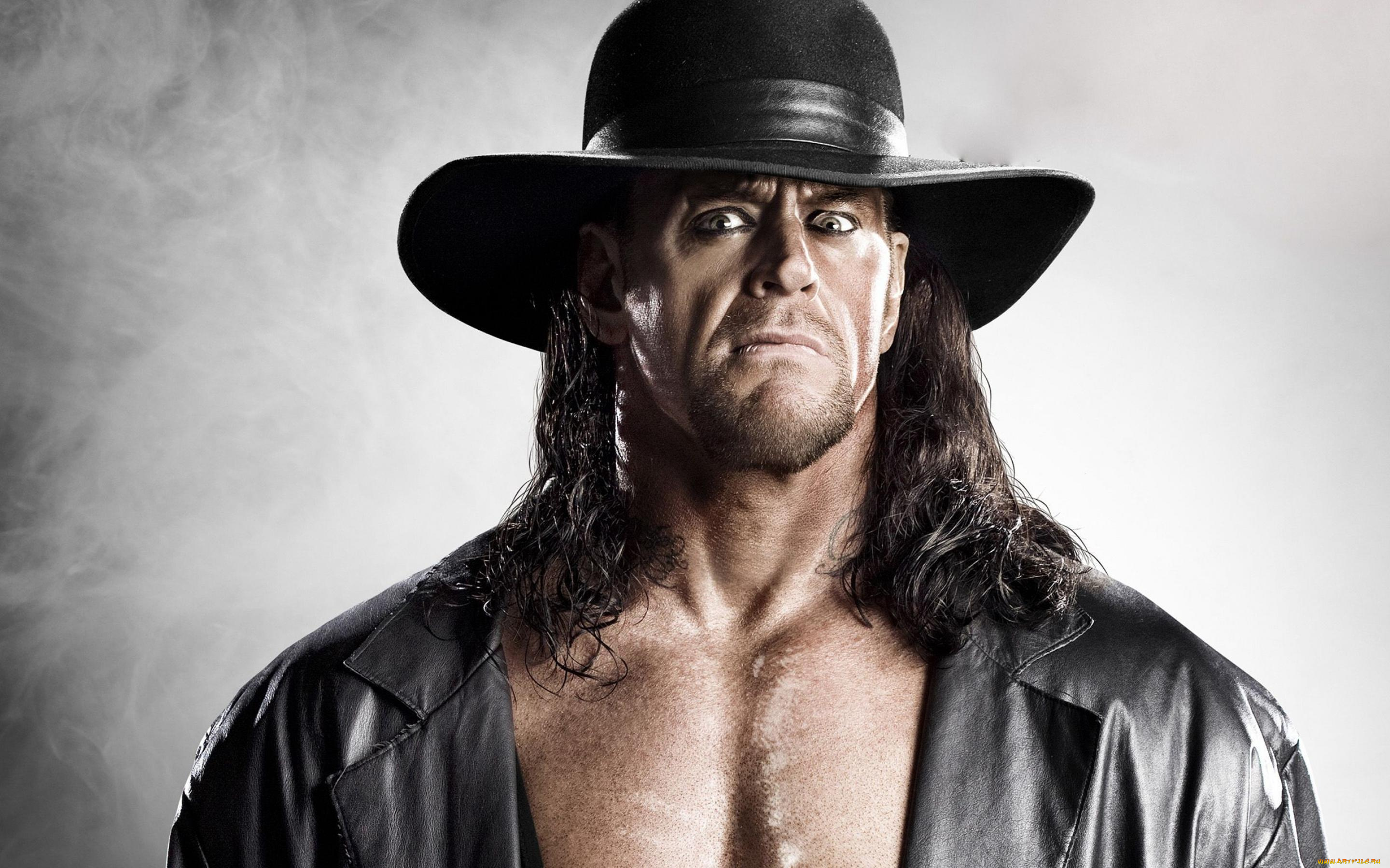 спорт, wwe, undertaker, гробовщик, рестлинг