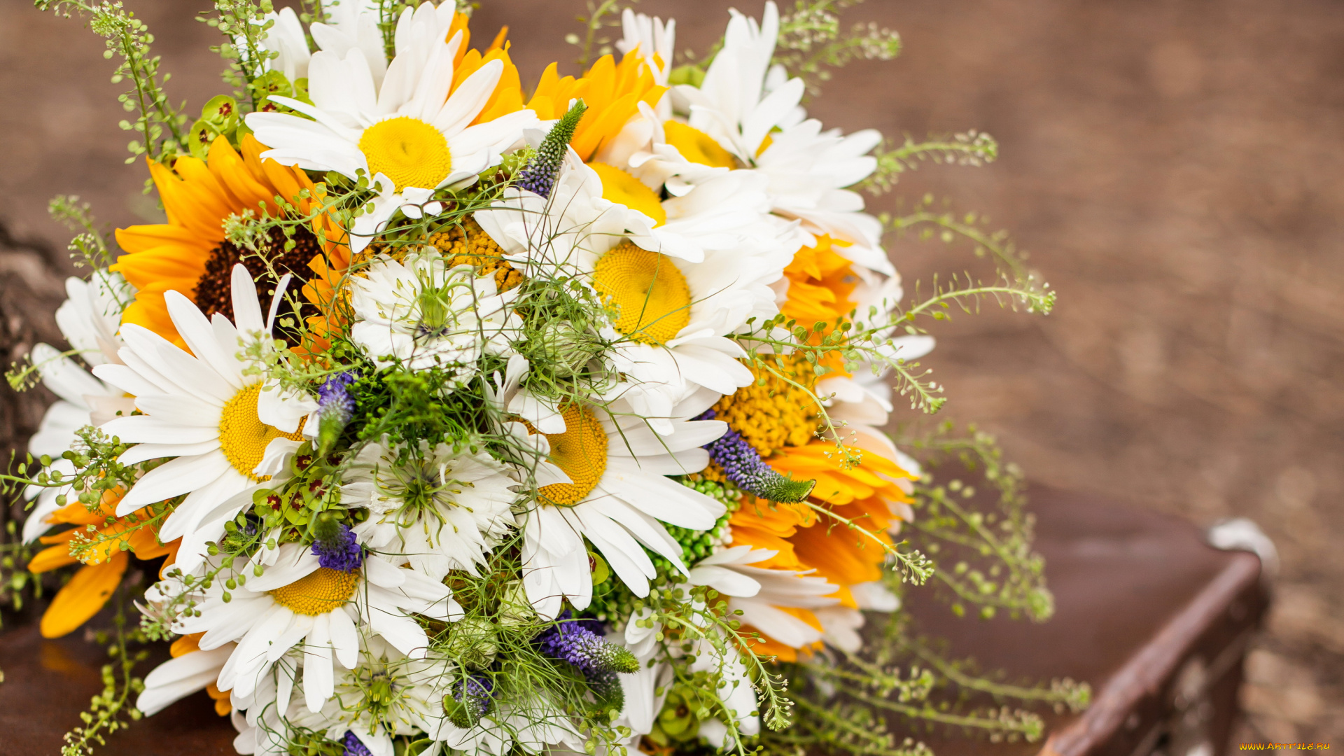 цветы, букеты, , композиции, букет, ромашки, подсолнухи