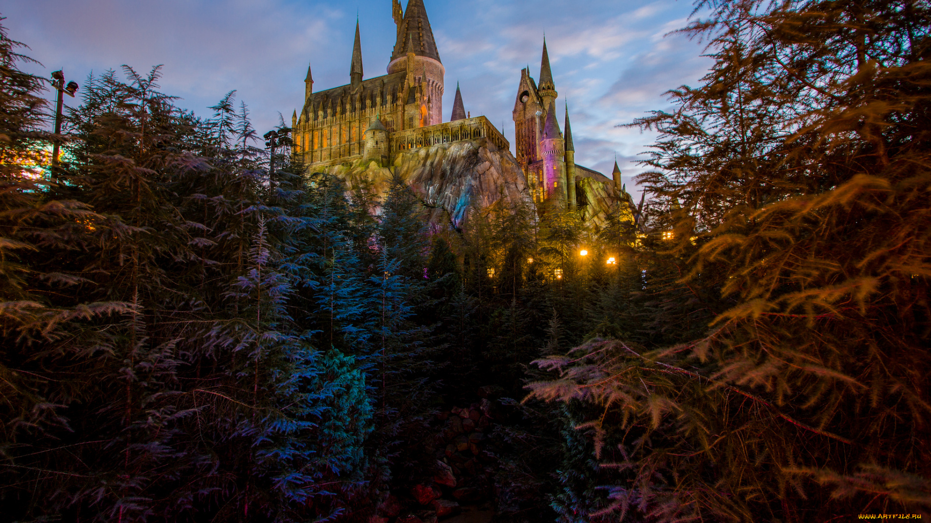 города, -, дворцы, , замки, , крепости, замок, деревья, подсветка, ночь