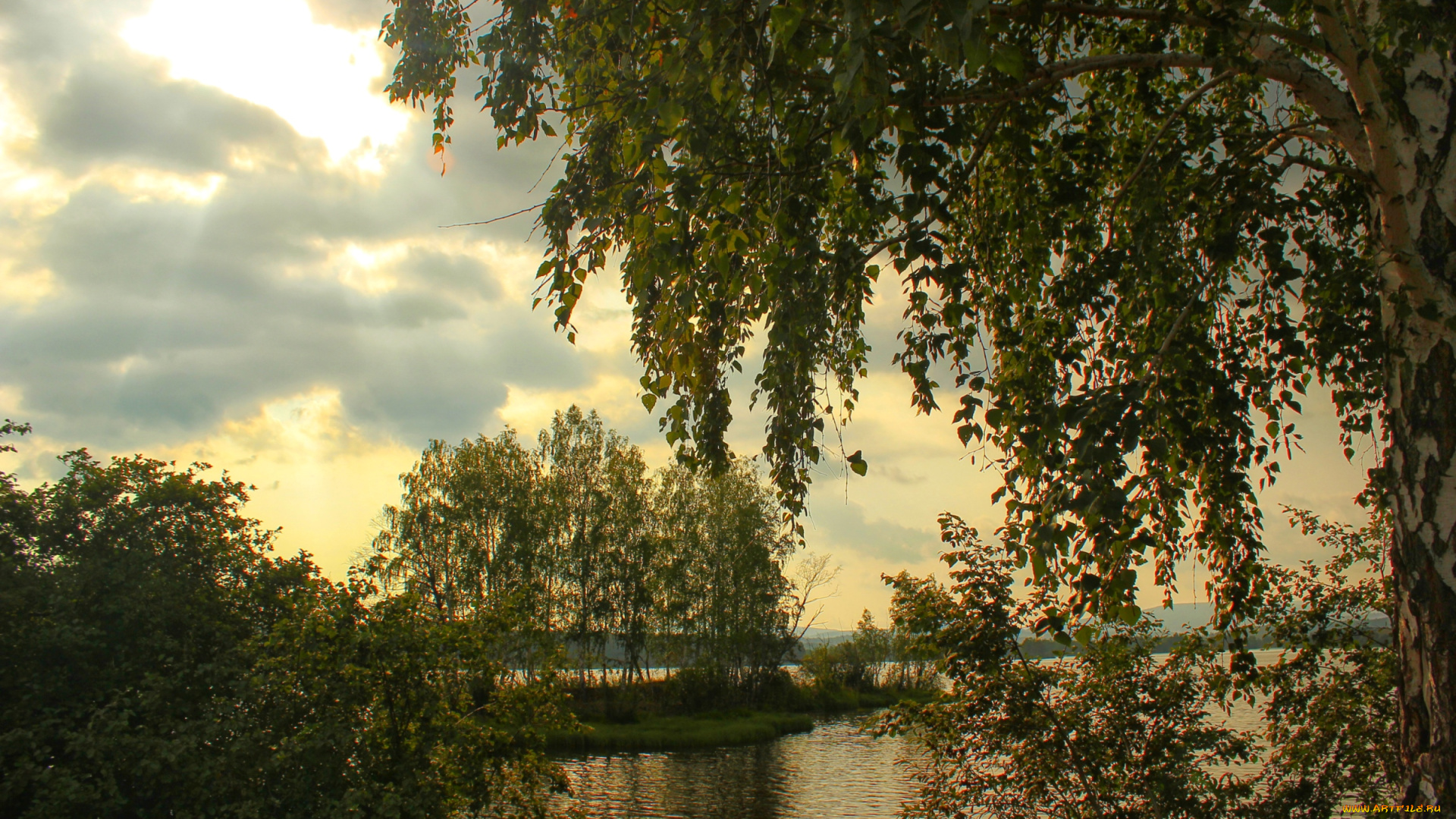 природа, реки, озера, вечер, береза