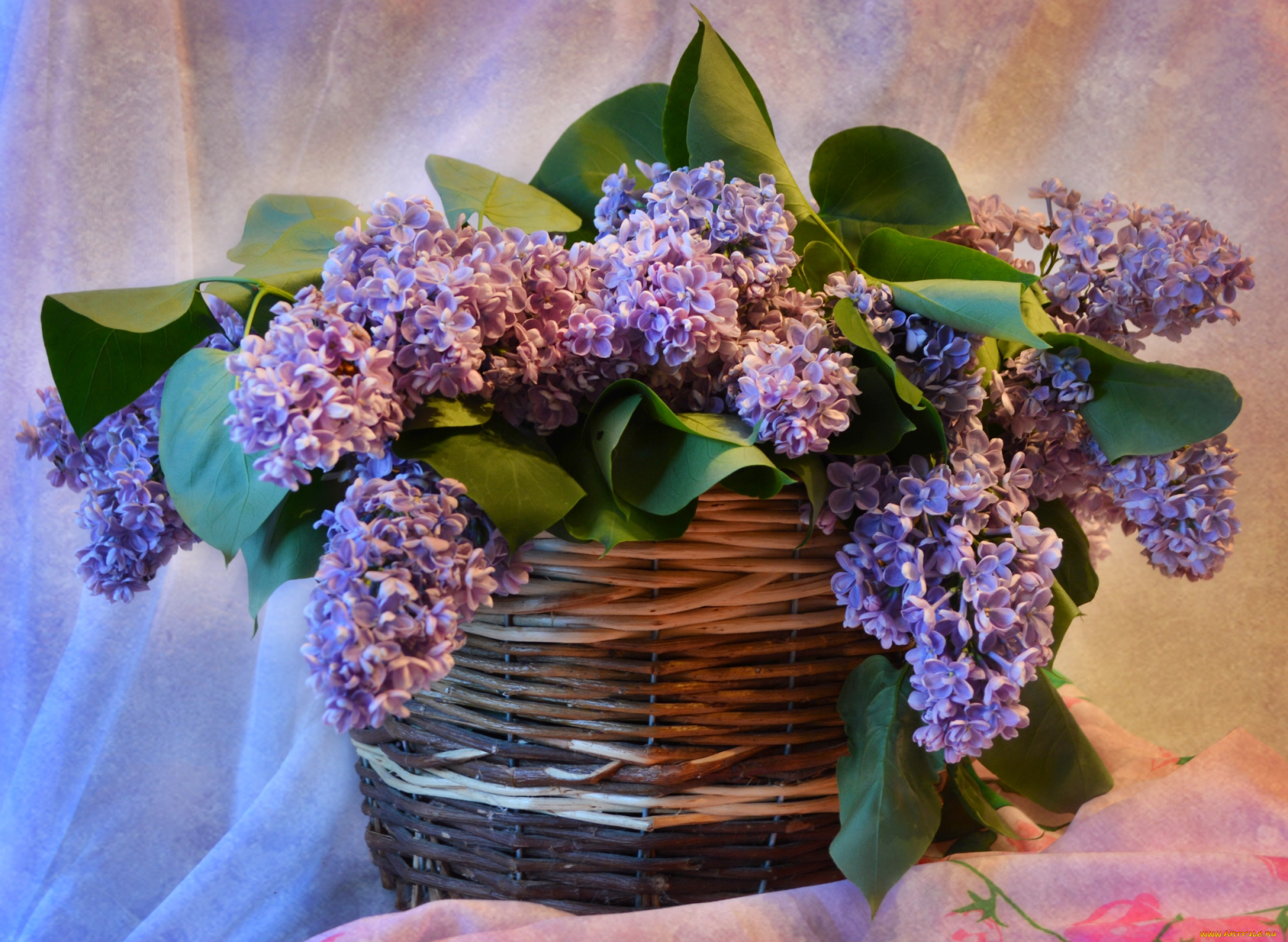 цветы, сирень, букет