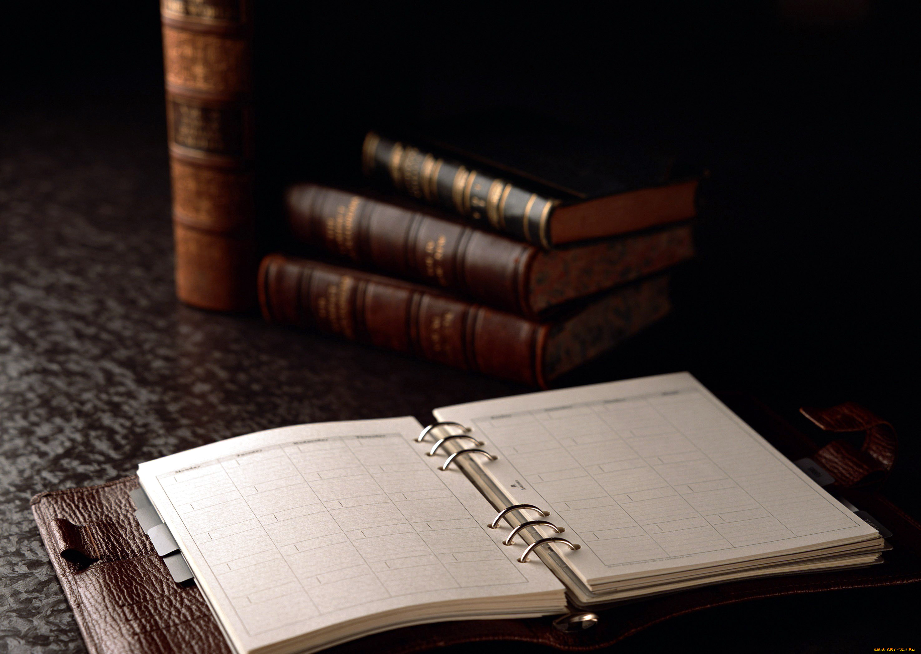 разное, канцелярия, , книги, книги, ежедневник
