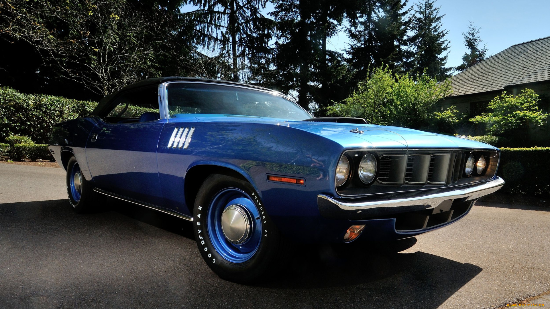 автомобили, plymouth, cuda