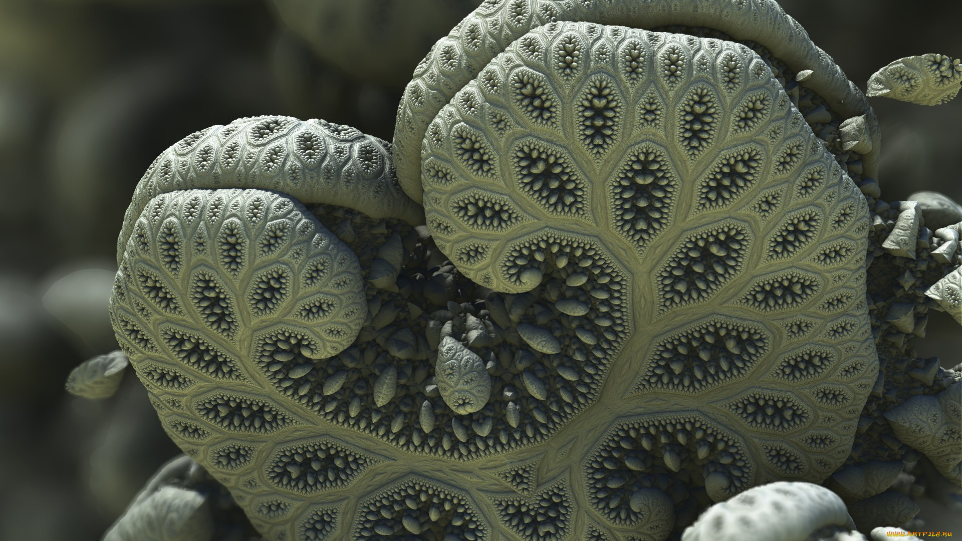 3д, графика, абстракция, , abstract, цвета, фон, узор