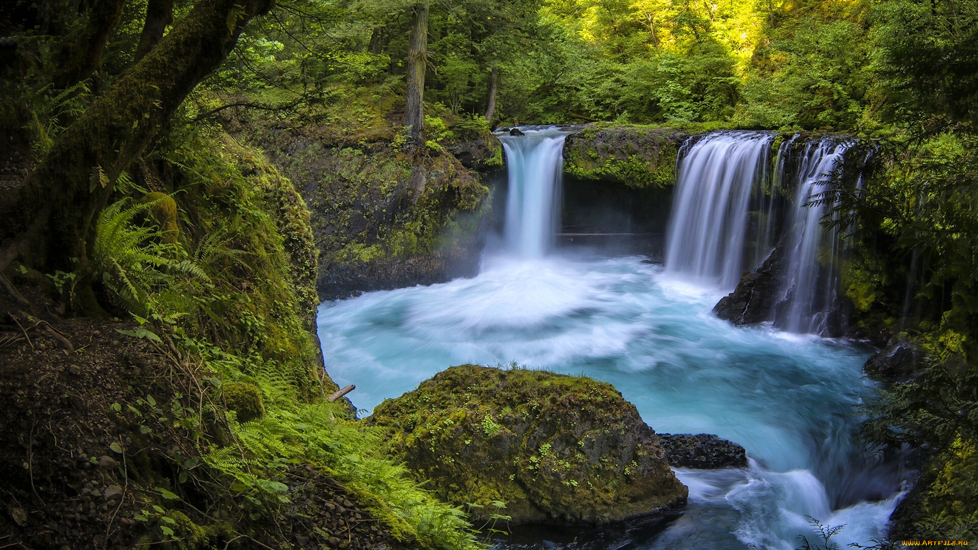 природа, водопады, вода, водопад, деревья, лес, поток