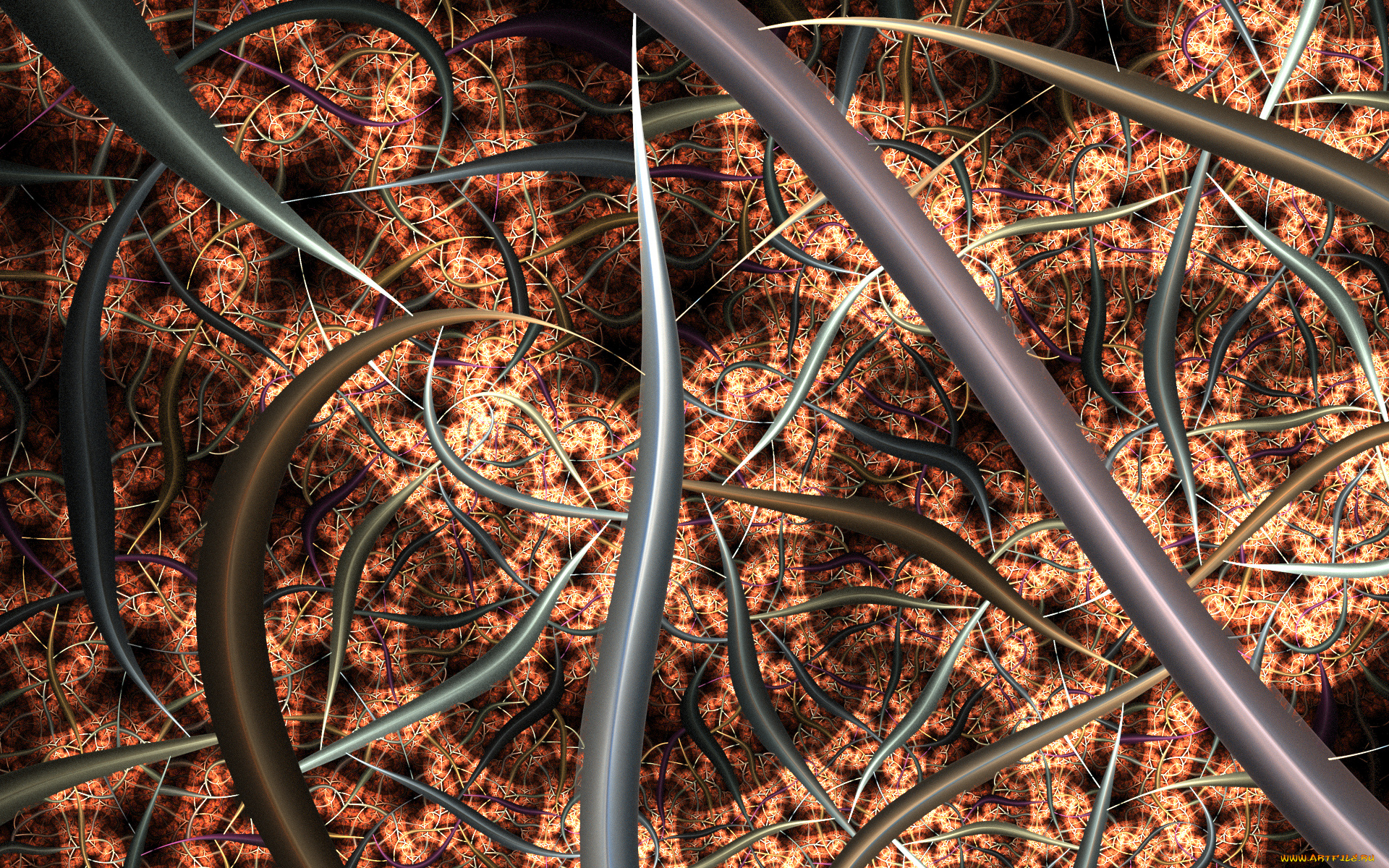 3д, графика, фракталы, , fractal, цвета, узор, фон