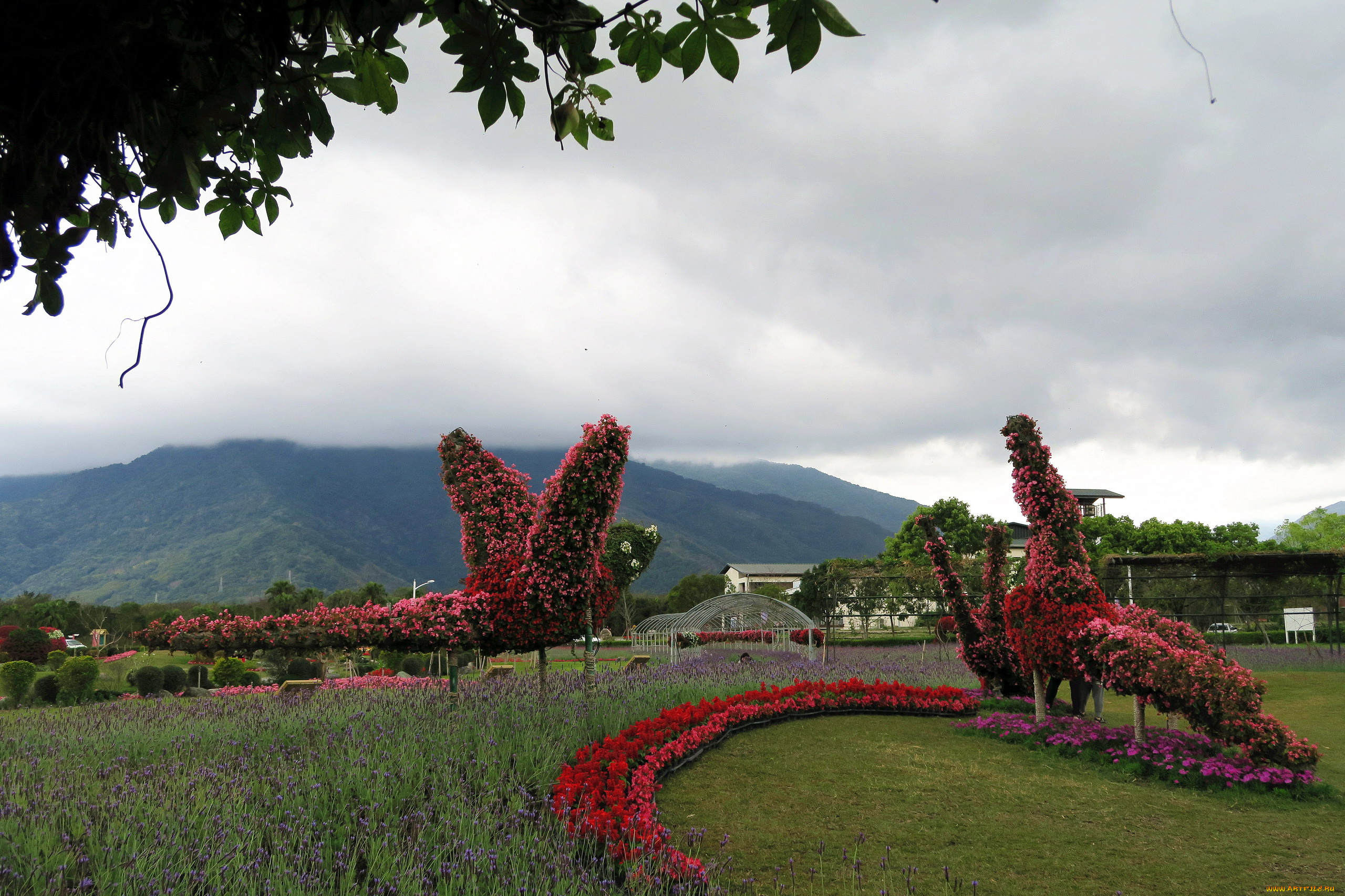 разное, садовые, и, парковые, скульптуры, цветочная, композиция