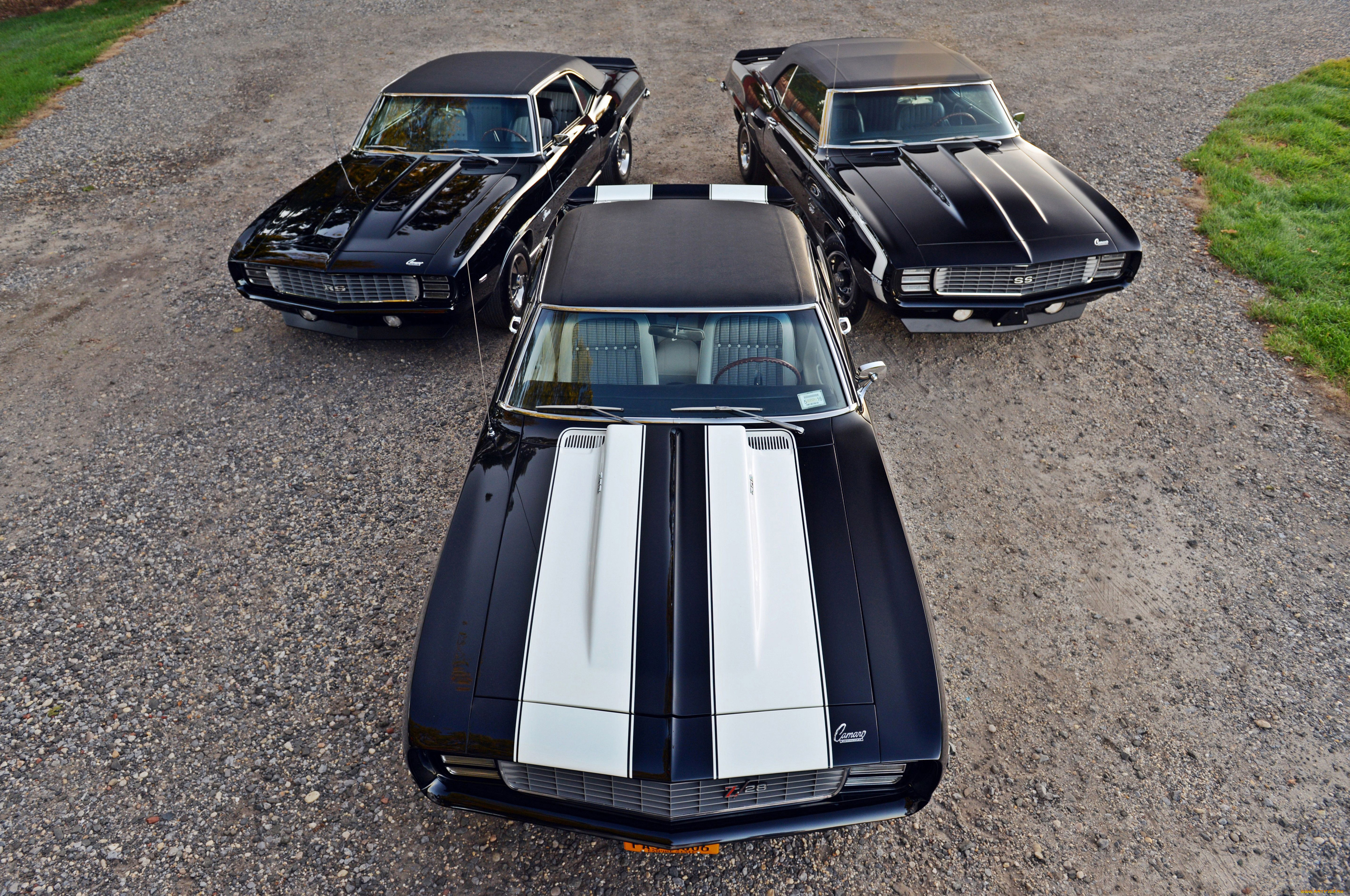 автомобили, camaro