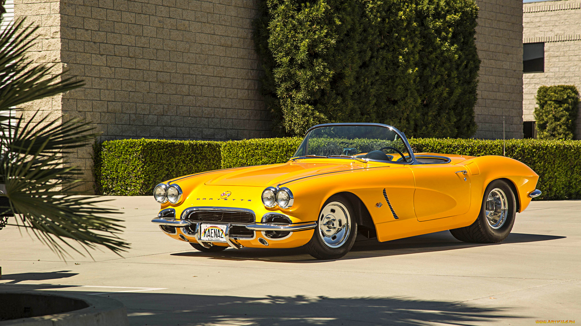 автомобили, corvette