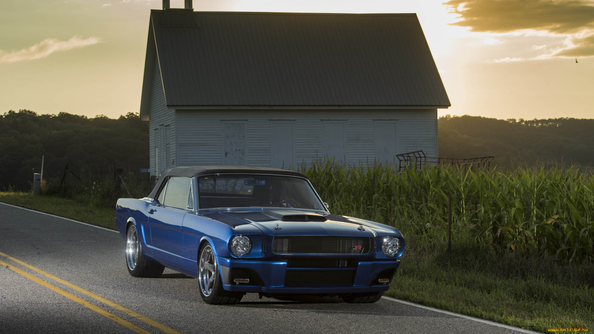 автомобили, mustang