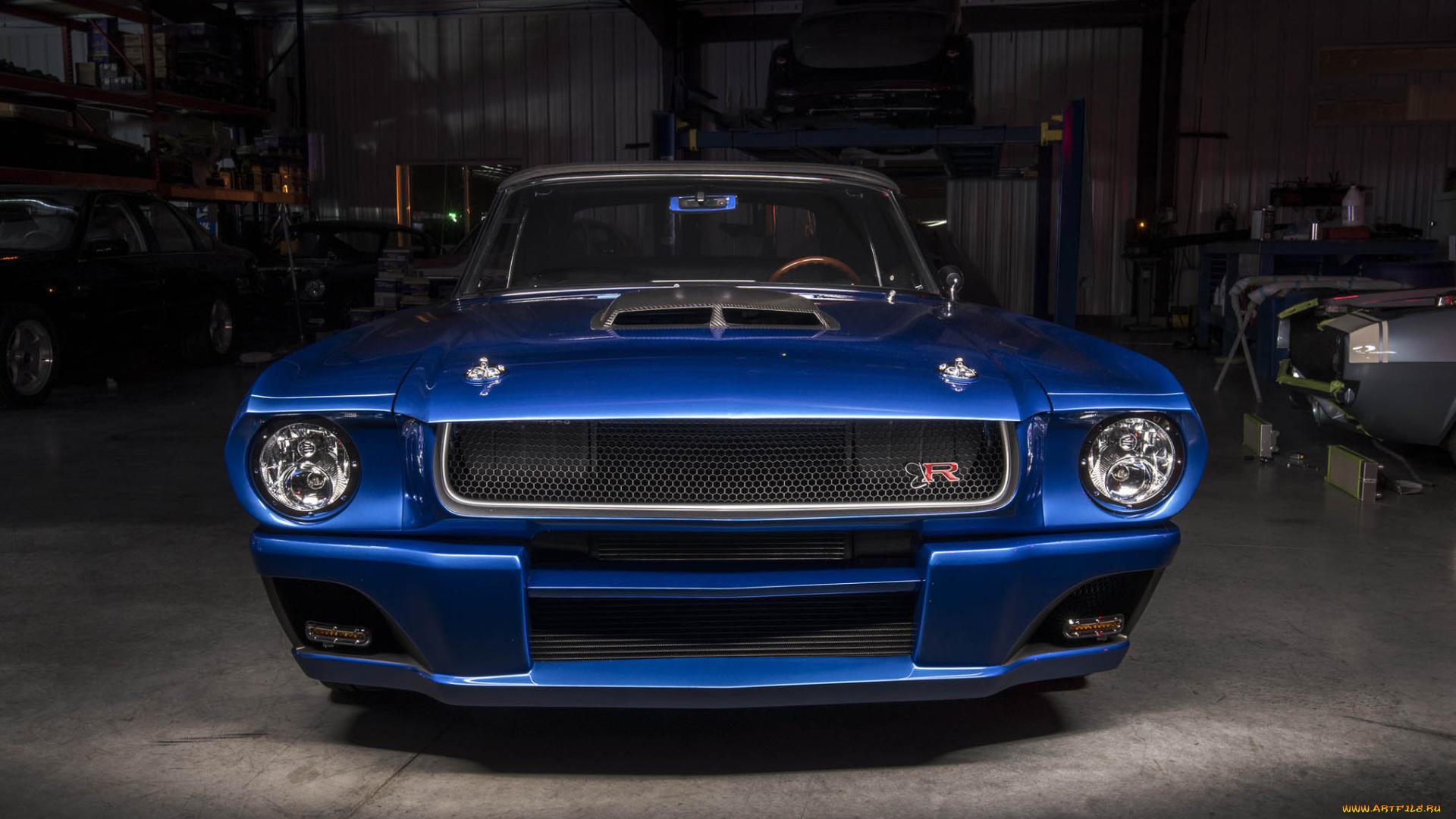 автомобили, mustang