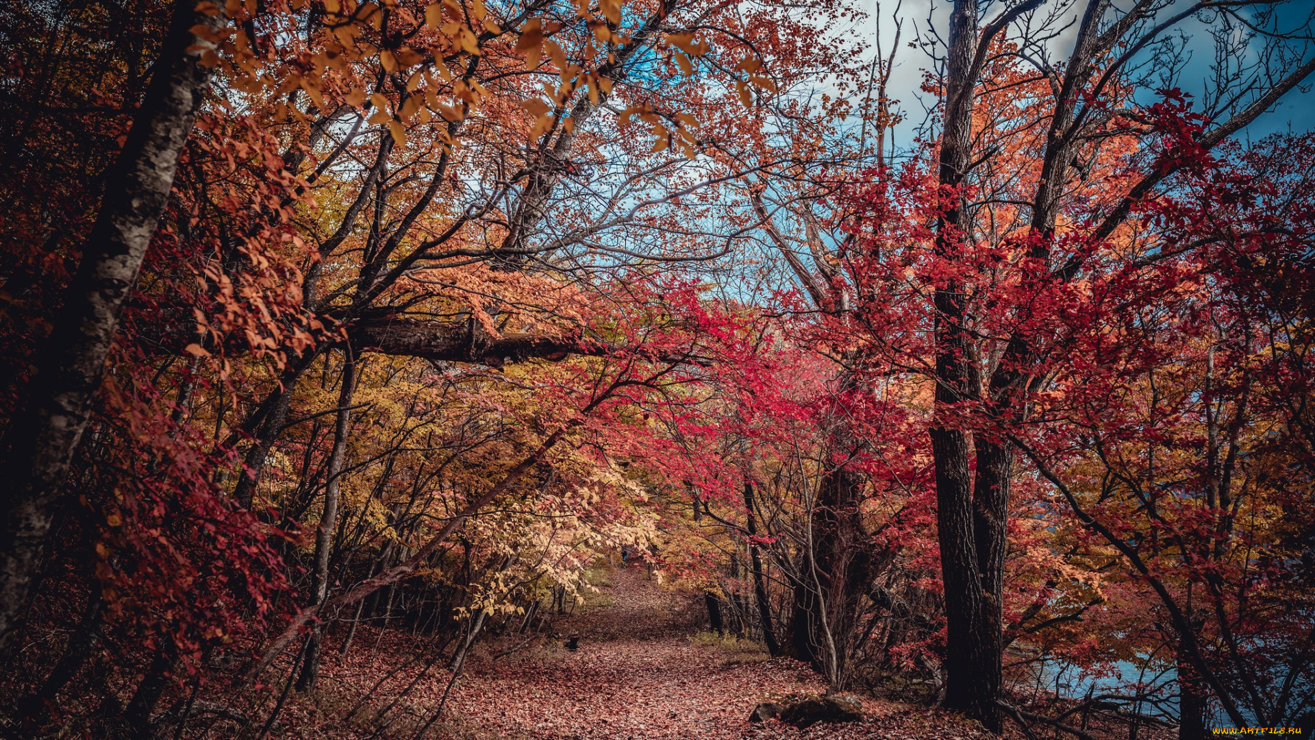 природа, дороги, тракт