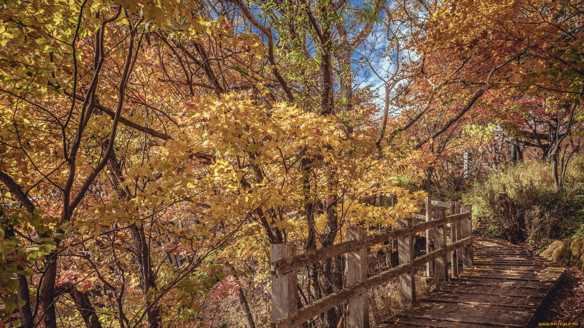 природа, дороги, тракт