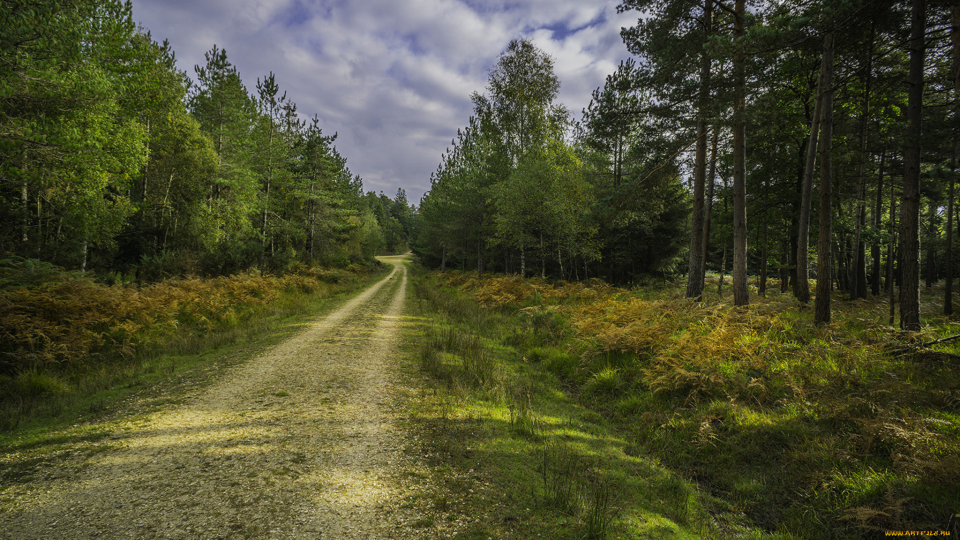 природа, дороги, тракт