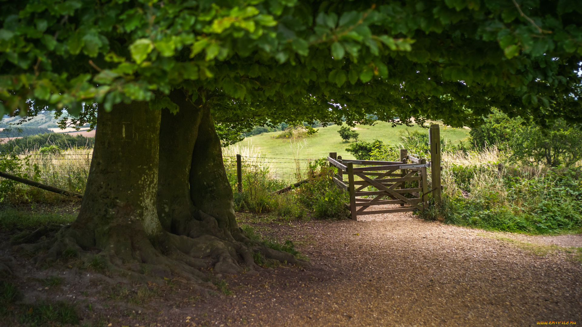 природа, дороги, тракт