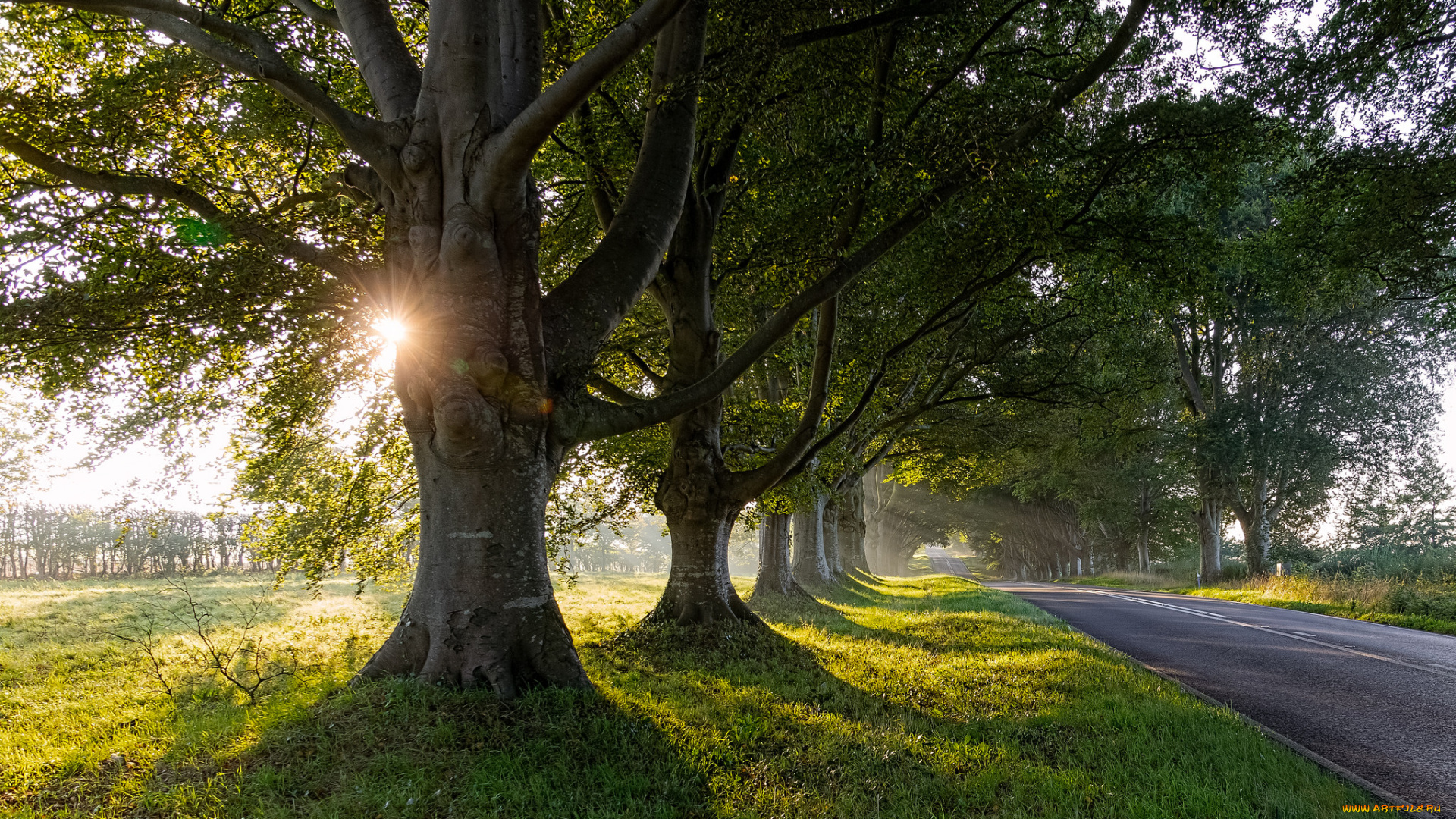 природа, дороги, тракт