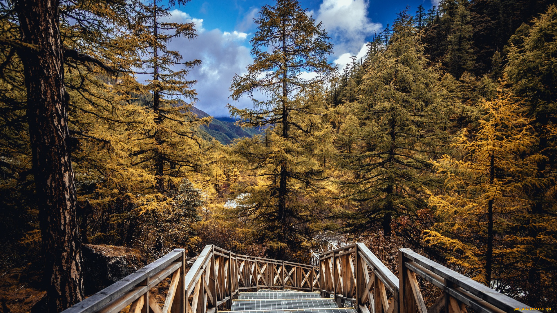 природа, дороги, тракт