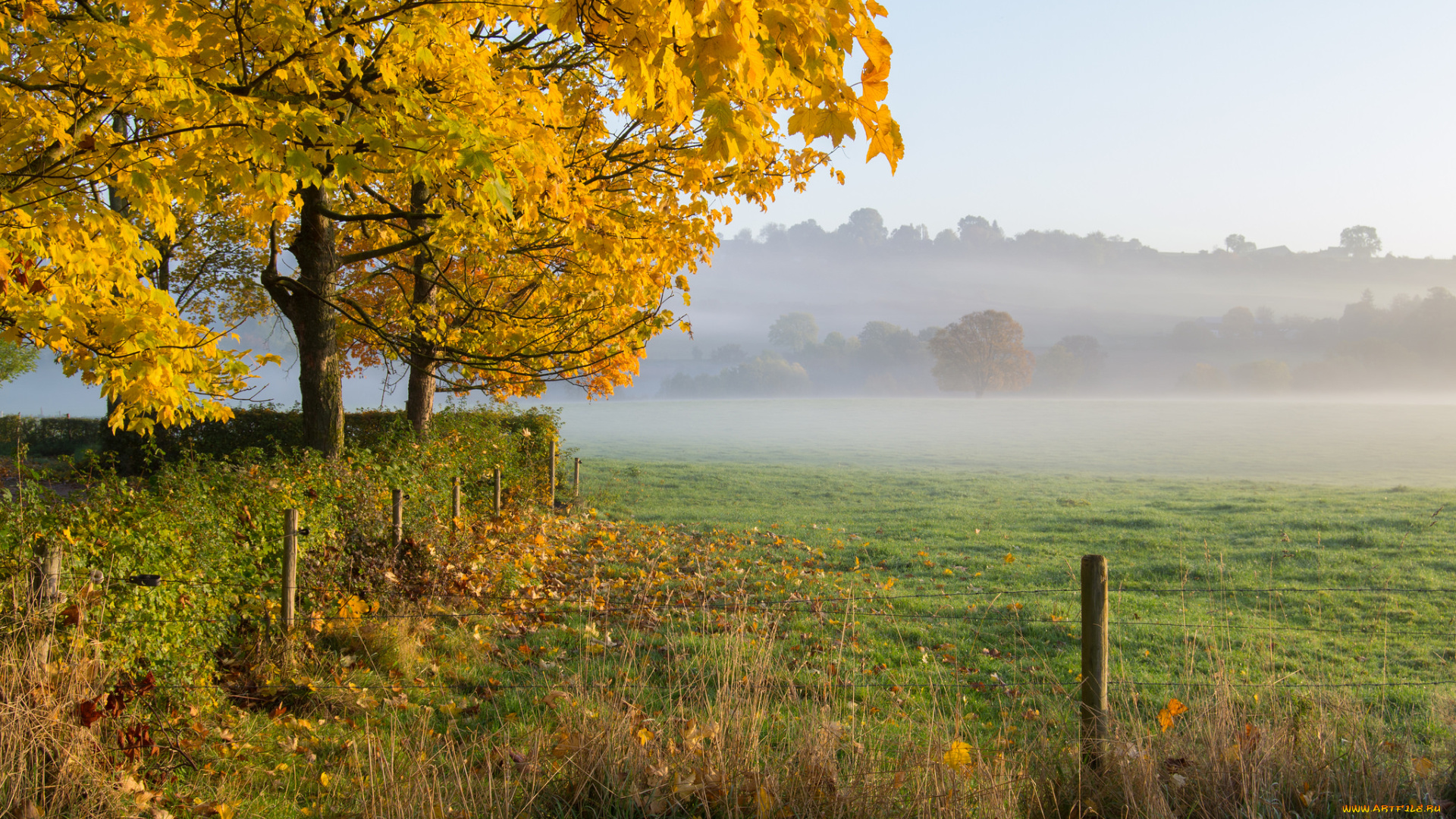 природа, пейзажи, простор
