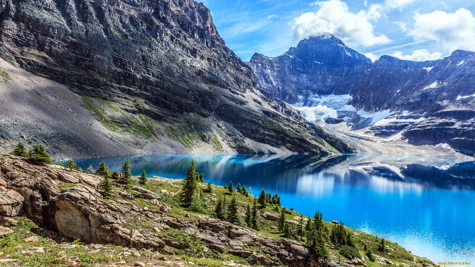 природа, реки, озера, река, лес