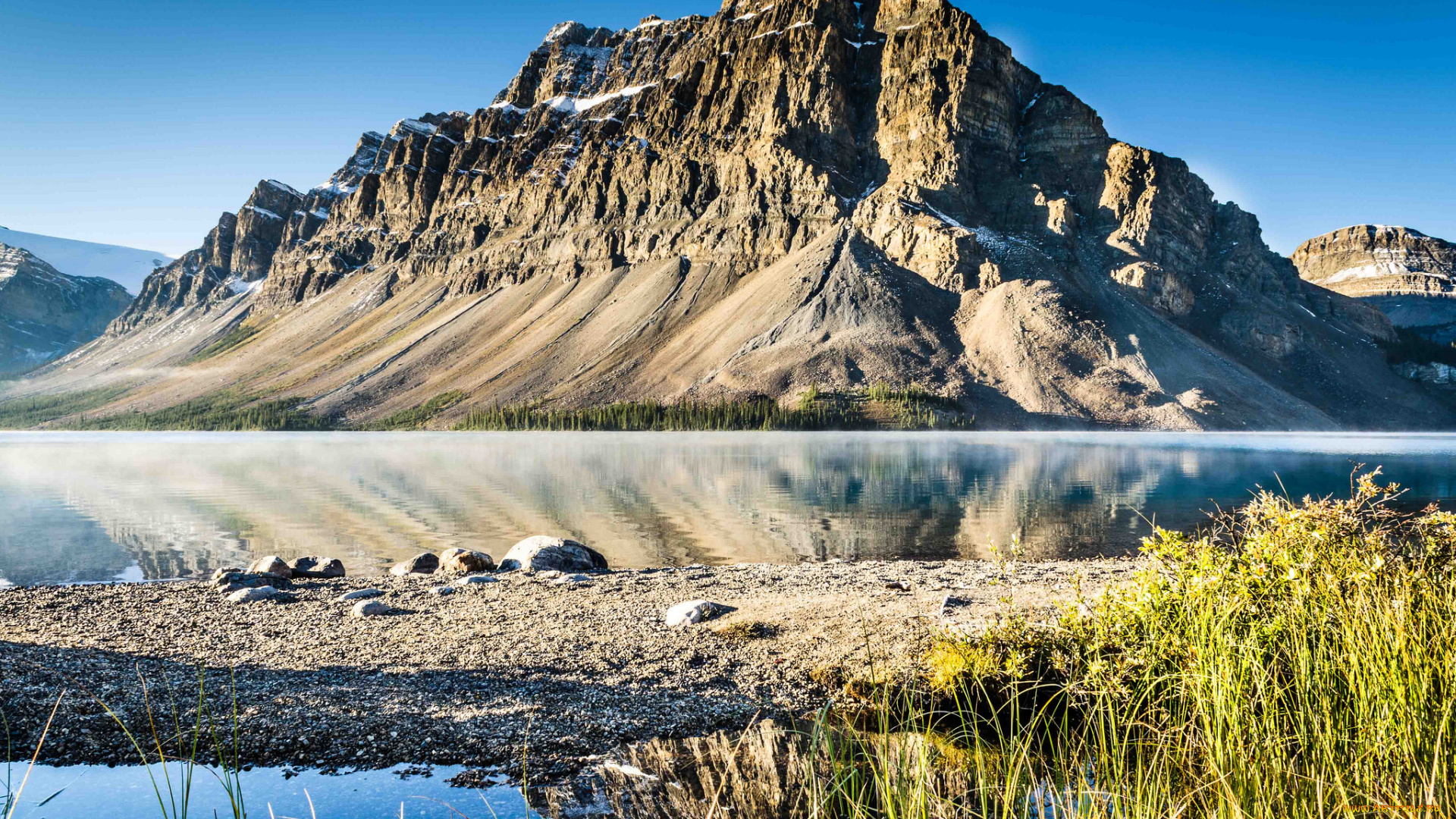 природа, реки, озера, река, лес