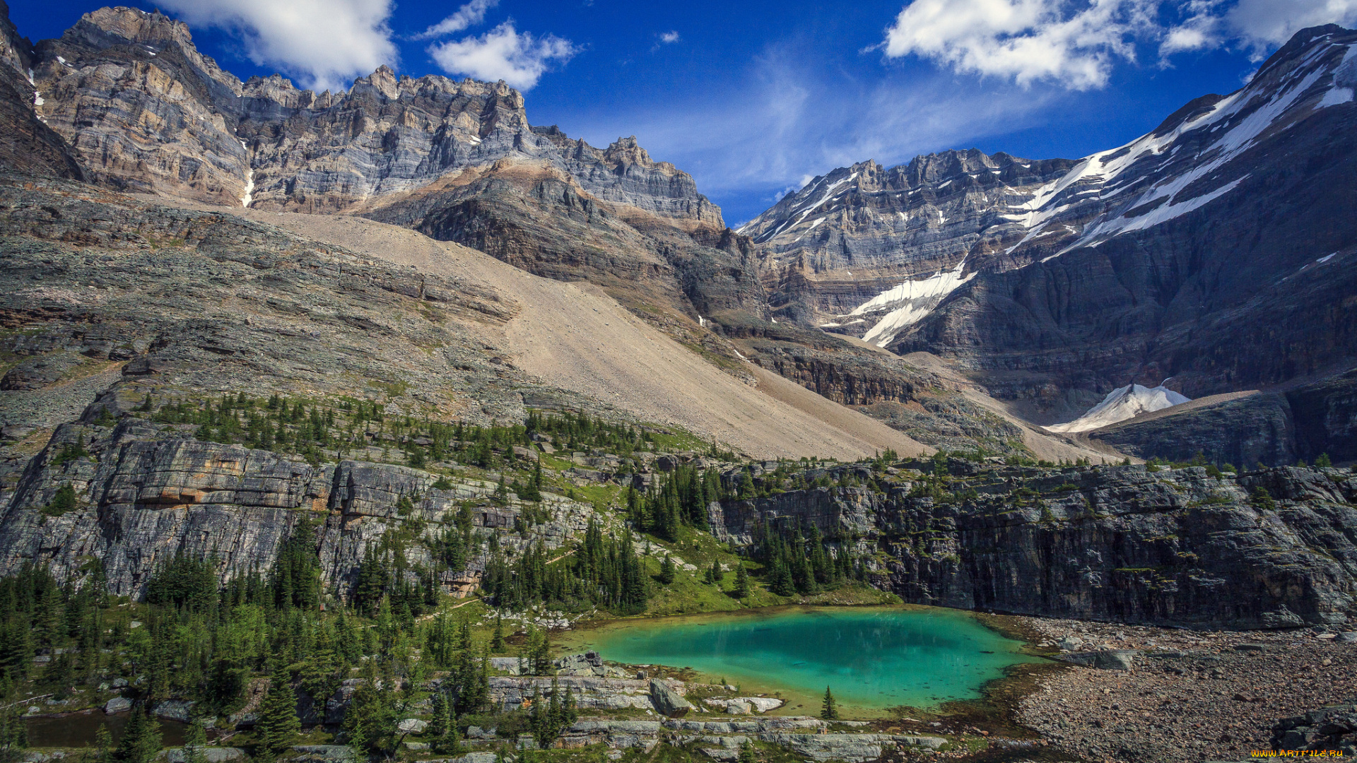 природа, реки, озера, река, лес