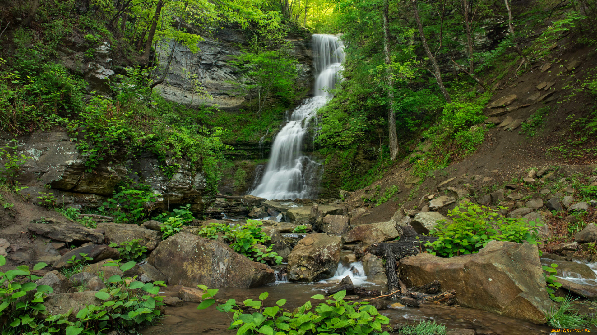 природа, водопады, лес, река, водопад