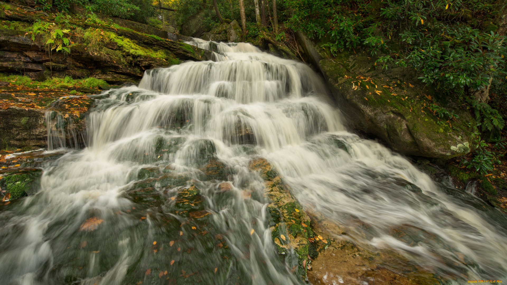 природа, водопады, лес, река, водопад