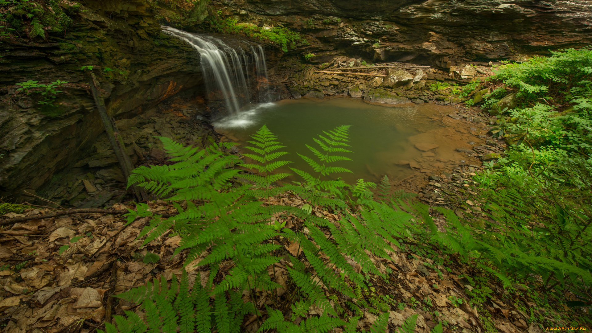 природа, водопады, лес, река, водопад