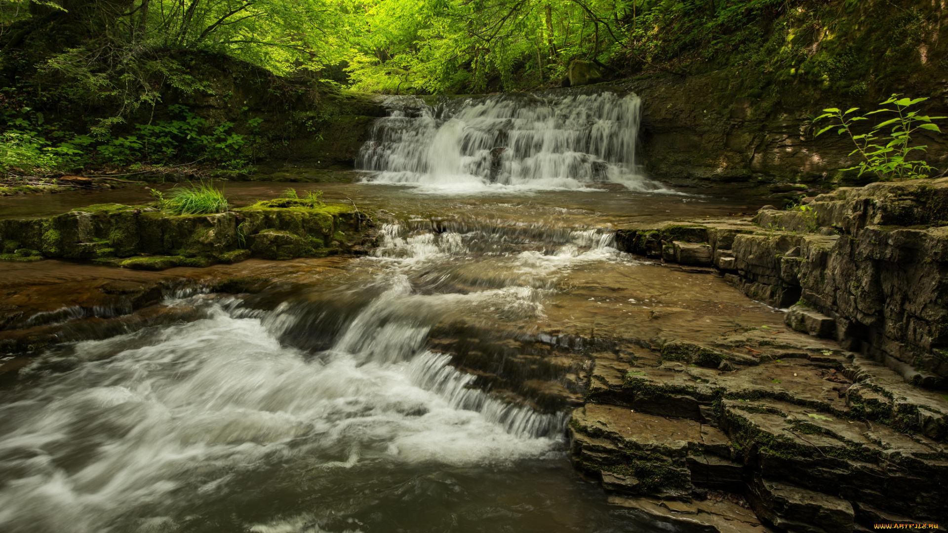 природа, водопады, лес, река, водопад
