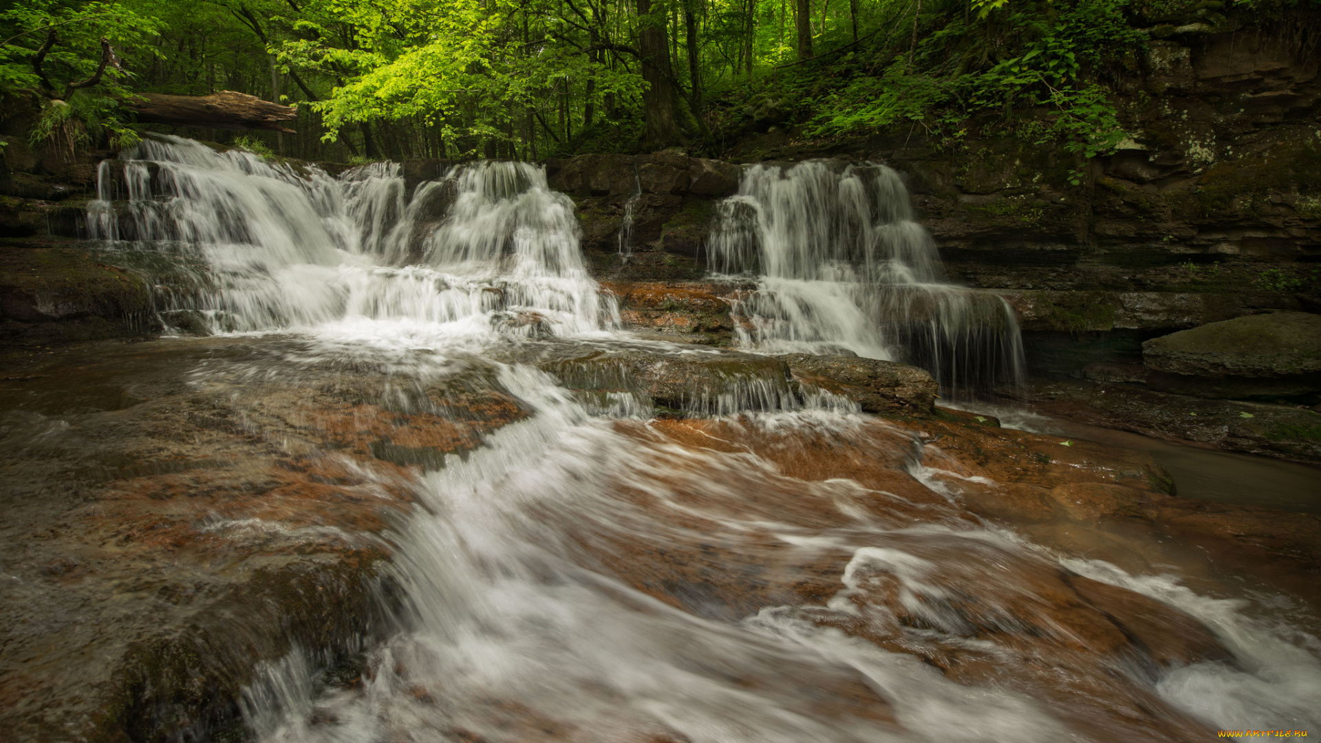 природа, водопады, лес, река, водопад