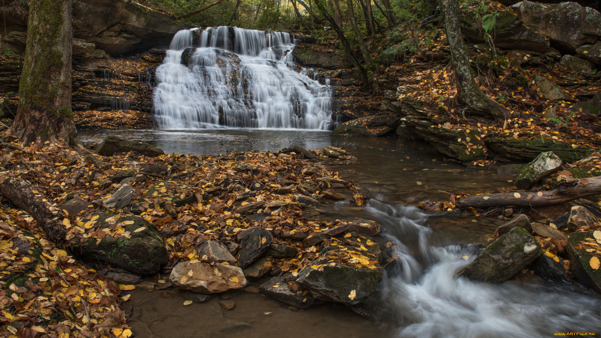 природа, водопады, лес, река, водопад